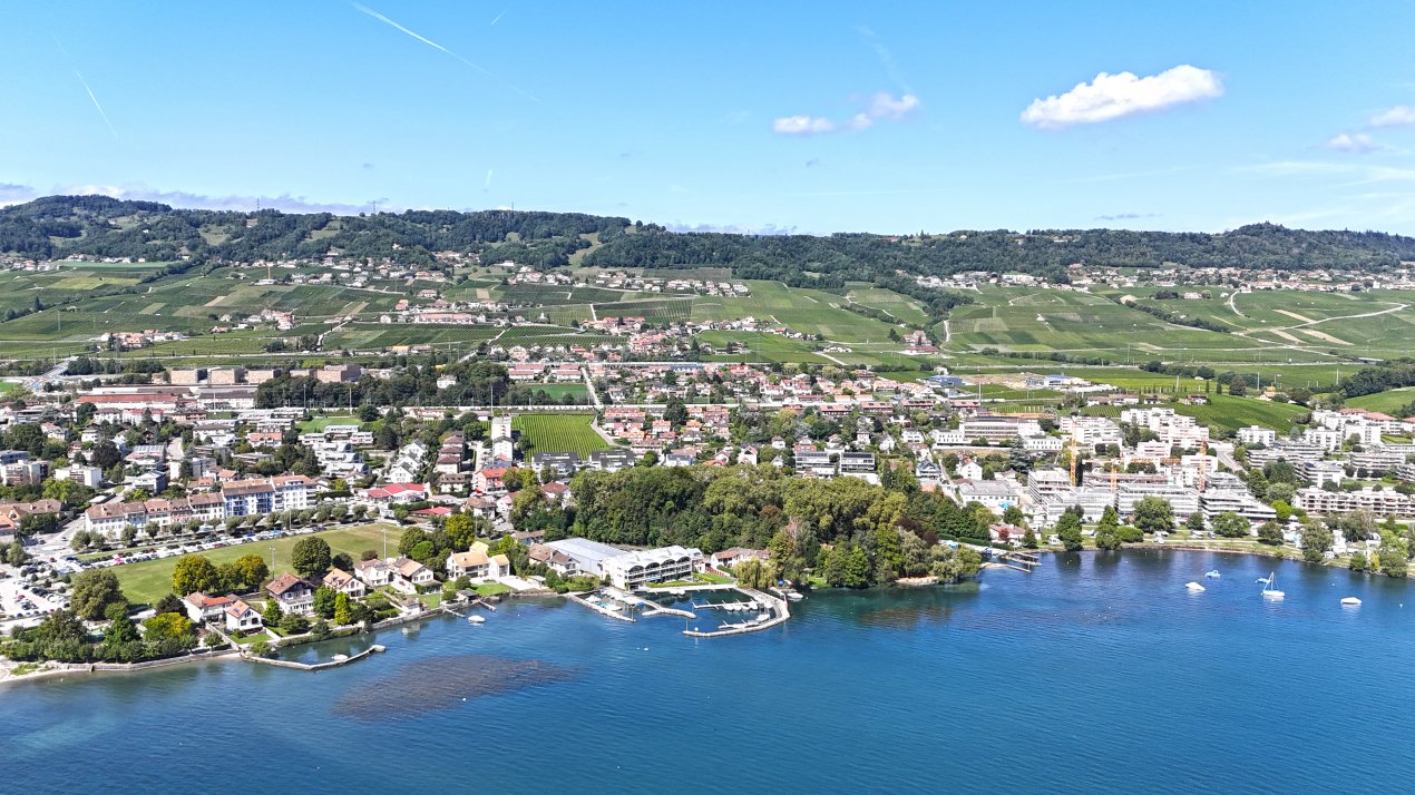 141c601b-b6fd-43ae-9b01-a97e77dae678