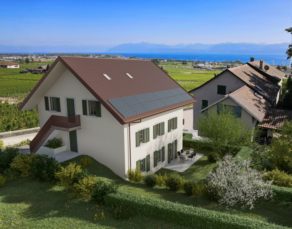 363e62c1-e202-4a9a-b012-9d7d52f13867